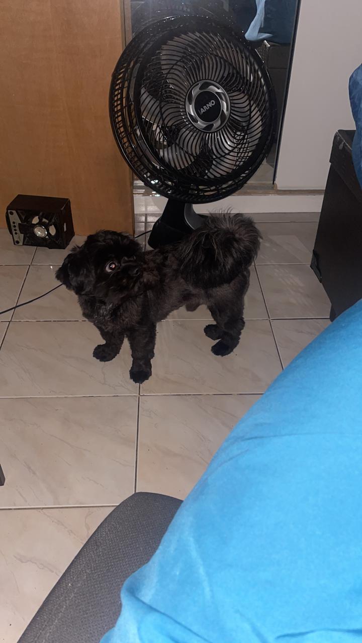 WhatsApp Image 2025-12-27 at 18.16.27